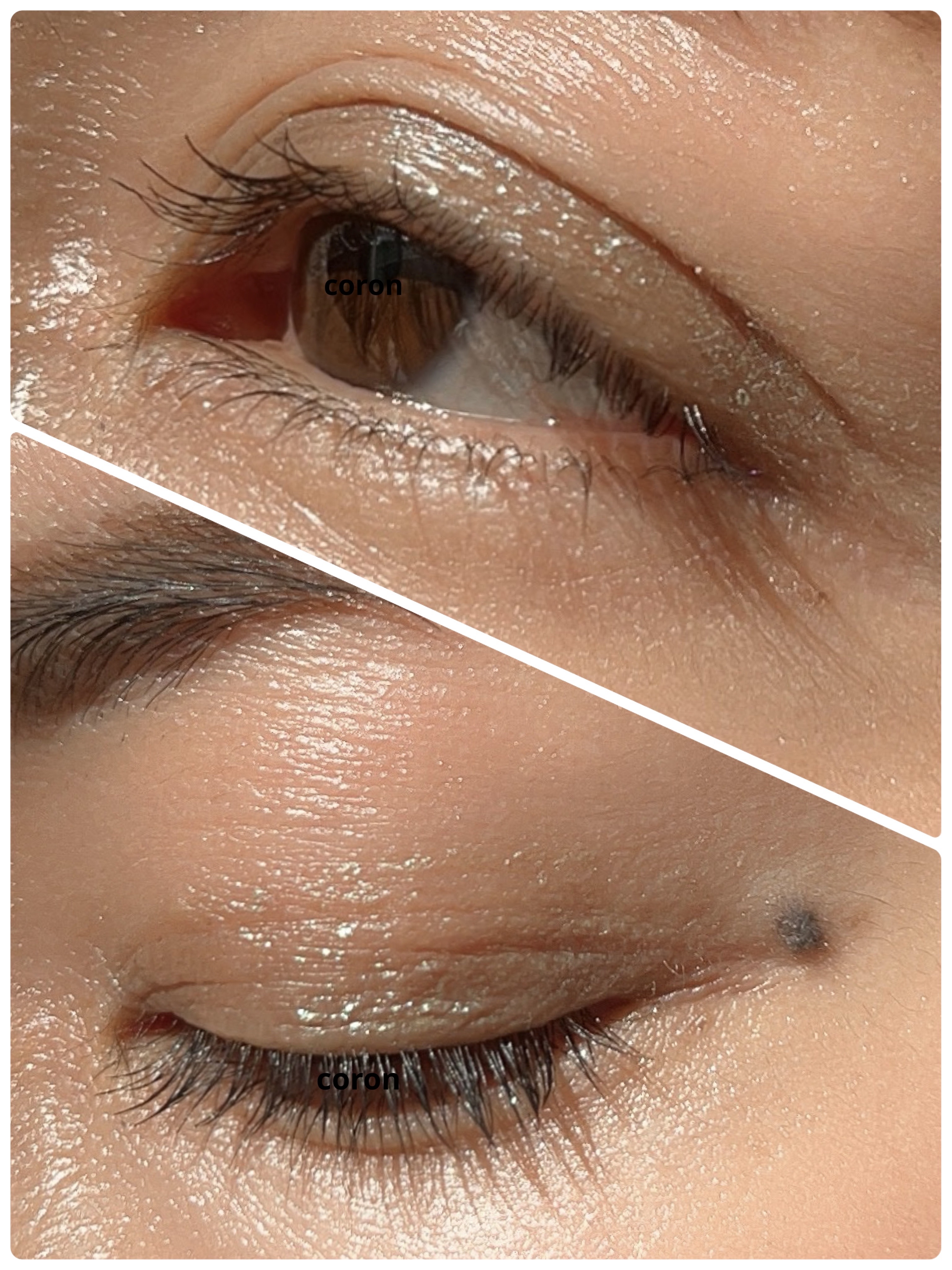 「塗るつけまつげ」ロングタイプ/デジャヴュ/マスカラを使ったクチコミ（2枚目）