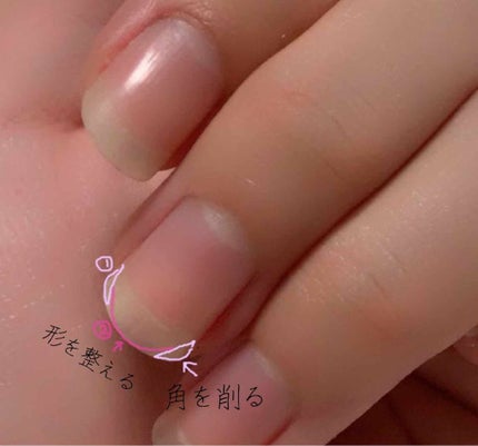 購入品/その他を使ったクチコミ(2枚目)