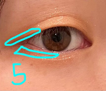 アイカラーパレット/heme/アイシャドウパレットを使ったクチコミ(9枚目)