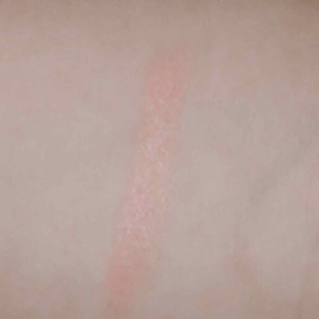 エレガンスCCルージュ つけ替え用 31（つけ替え用）/グレイシィ/口紅を使ったクチコミ（3枚目）