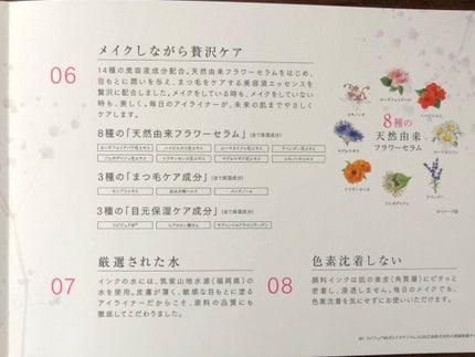 スキルレスライナー/LUMIURGLAS/リキッドアイライナーを使ったクチコミ(6枚目)