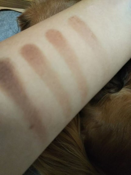 パーフェクトマルチアイズ/キャンメイク/アイシャドウパレットを使ったクチコミ(3枚目)