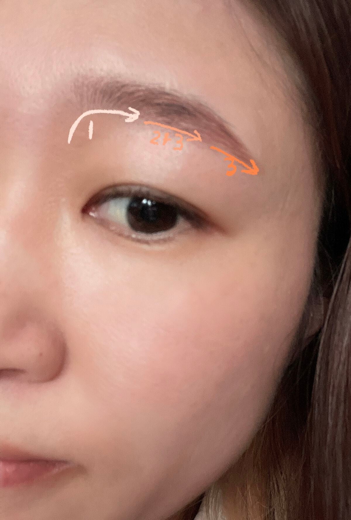 ノーズ&アイブロウパウダー/CEZANNE/パウダーアイブロウを使ったクチコミ(3枚目)