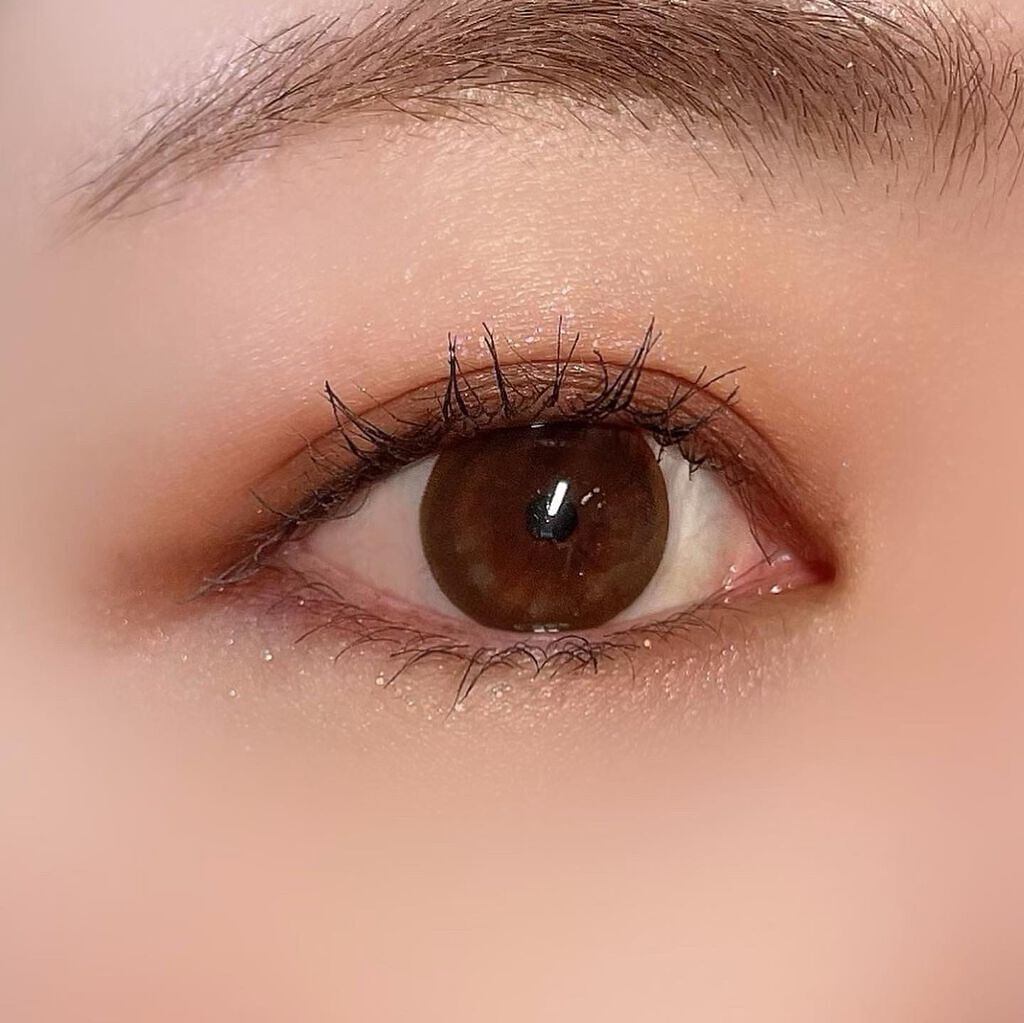 プロアイシャドウパレットセシル/CELEFIT/アイシャドウパレットを使ったクチコミ(2枚目)