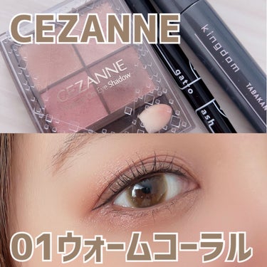 ニュアンスオンアイシャドウ/CEZANNE/アイシャドウパレットを使ったクチコミ（1枚目）