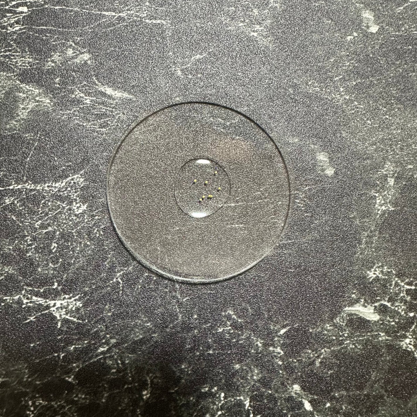 アベイユ ロイヤル ウォータリー オイル セロム/GUERLAIN/美容液を使ったクチコミ(3枚目)