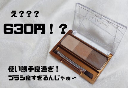 ノーズ&アイブロウパウダー/CEZANNE/パウダーアイブロウを使ったクチコミ(1枚目)