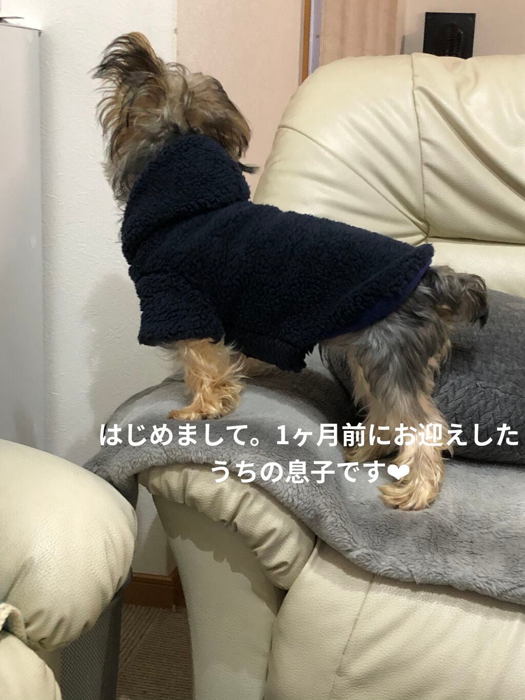 TM浮世絵ネイル/キャンドゥ/マニキュアを使ったクチコミ(3枚目)