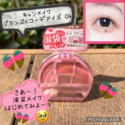 プランぷくコーデアイズ/キャンメイク/パウダーアイシャドウを使ったクチコミ(1枚目)