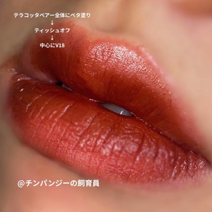 ジューシーリップティント/キャンメイク/口紅を使ったクチコミ(3枚目)