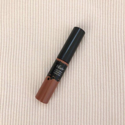 リシェ カラーリング アイブロウマスカラ/Visée/眉マスカラを使ったクチコミ(2枚目)