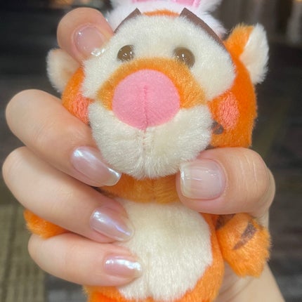 ジェルネイル(ライト対応)/セリア/ジェルネイルを使ったクチコミ(1枚目)