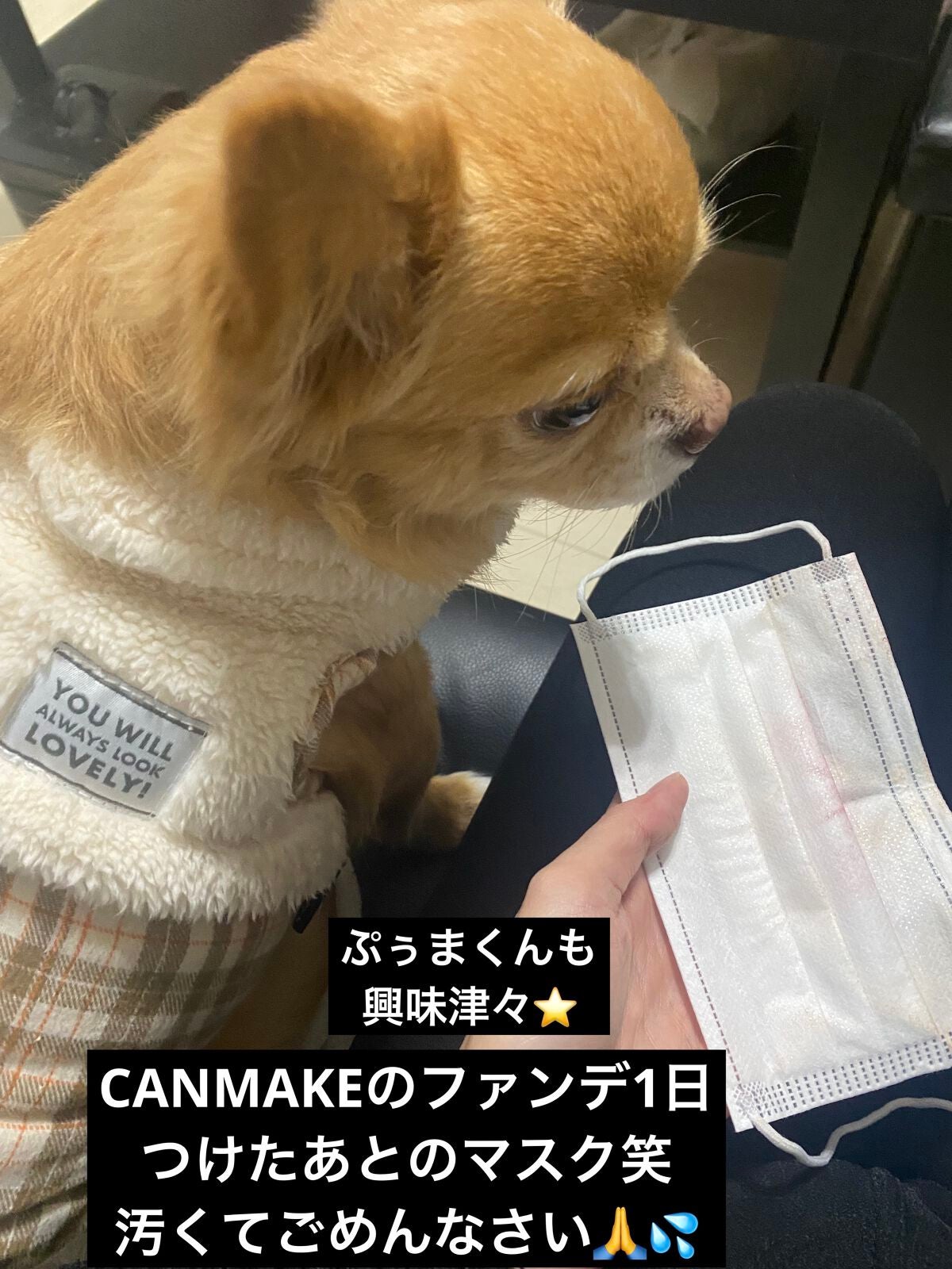 SALON DE EYES/too cool for school/アイシャドウパレットを使ったクチコミ(8枚目)