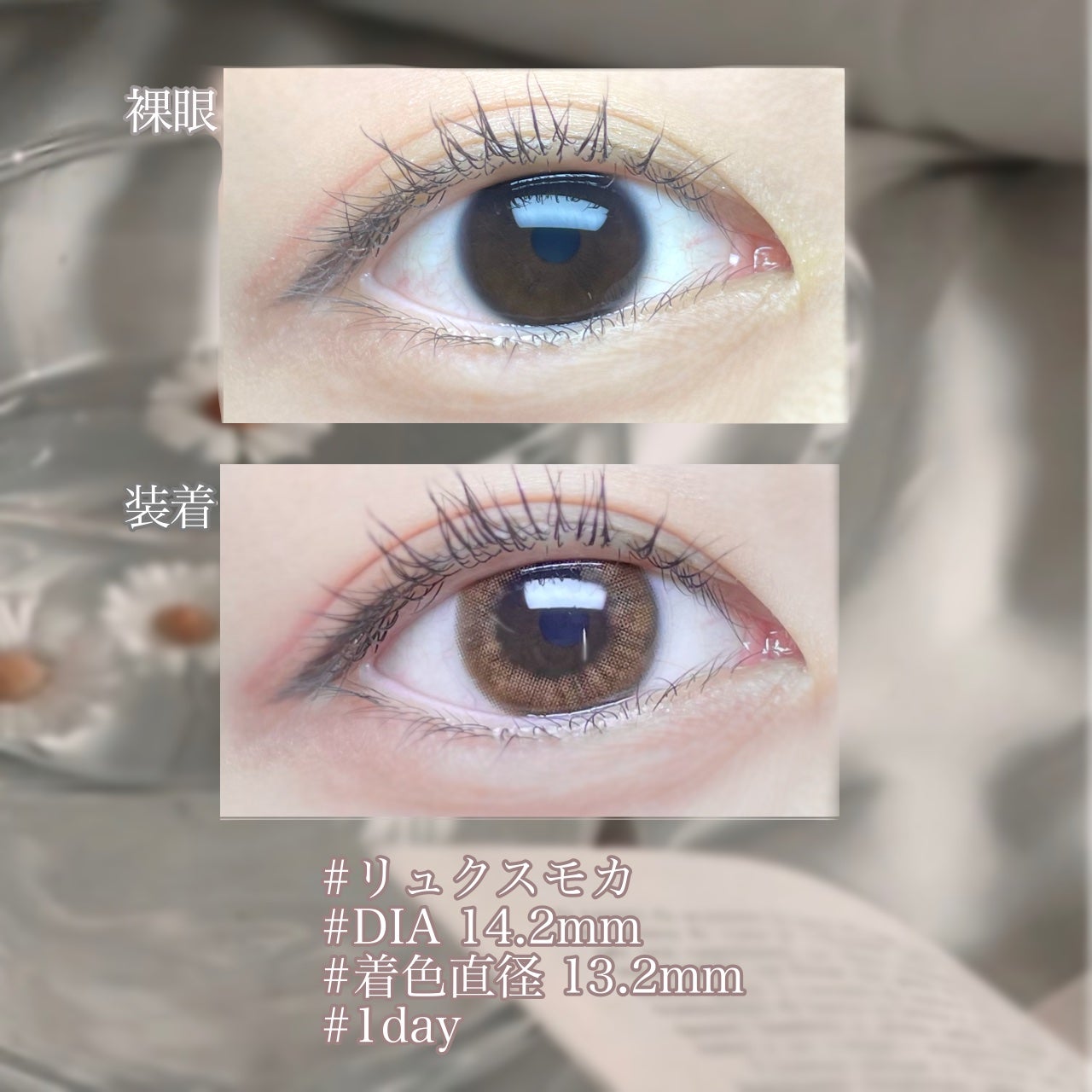 1DAY Refrear elebelle/Refrear/ワンデー(1DAY)カラコンを使ったクチコミ(2枚目)