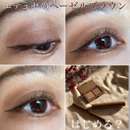 エテュセ アイエディション(カラーパレット)/ettusais/アイシャドウパレットを使ったクチコミ(1枚目)