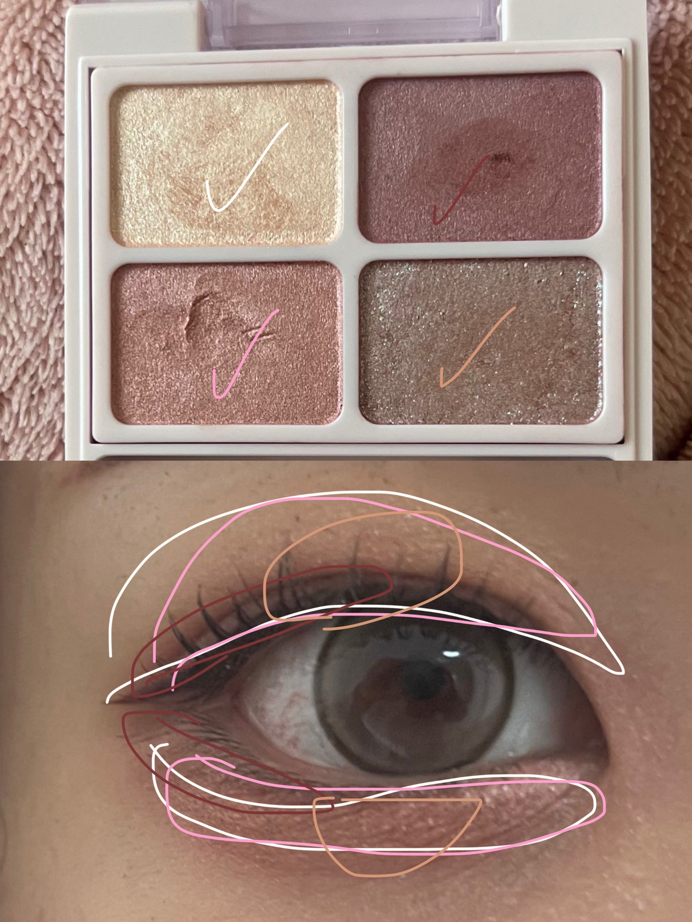 デイジードール アイカラー パレット/DAISY DOLL by MARY QUANT/アイシャドウパレットを使ったクチコミ(2枚目)