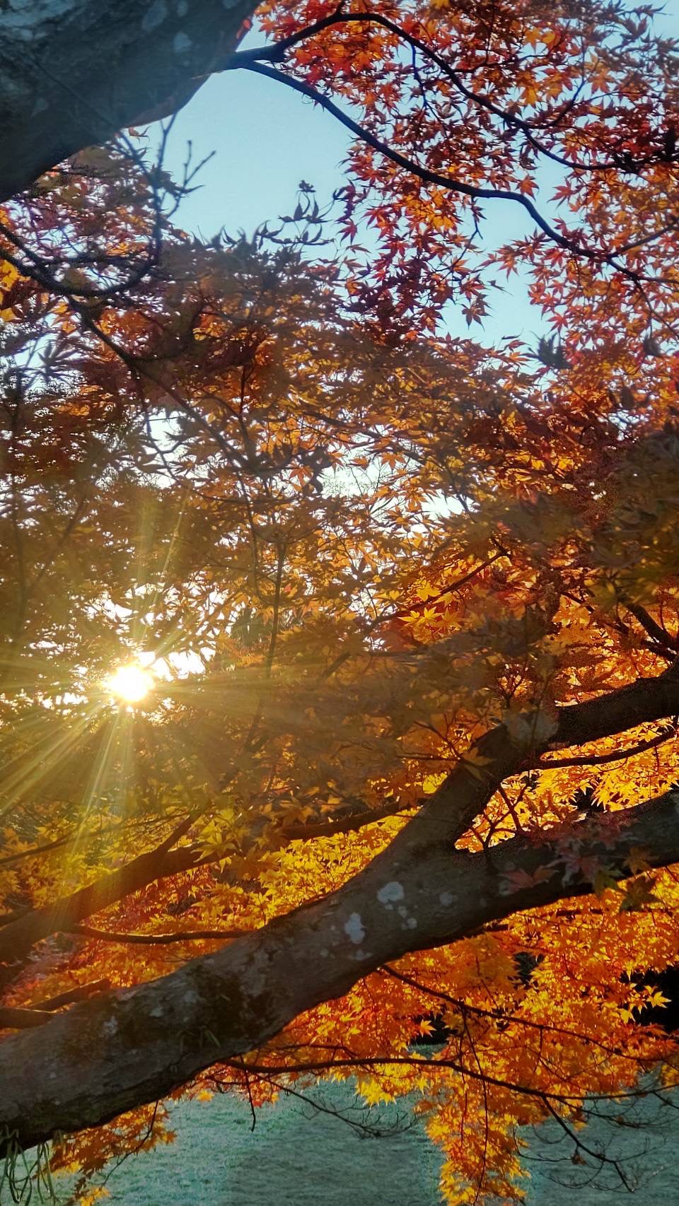 йаÑsÏ
ð¥ã³ã¹ã¡ð奜ããããšæ²¢å±±ç¹ããããð on LIPS ããçŽ
èðããèŠã«ãå®¶æðãã§2ãïŒæ¥åè¡ã£ãŠããŸããð¥°ðæ¯å¹Žâš..ãïŒ2æç®ïŒ