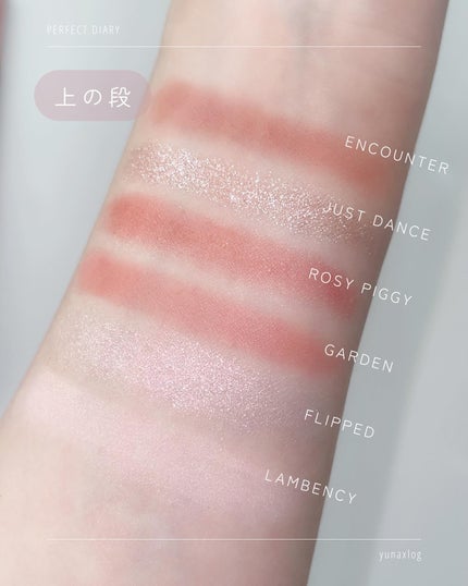 エクスプローラ12色 動物アイシャドウパレット/PERFECT DIARY/アイシャドウパレットを使ったクチコミ(5枚目)