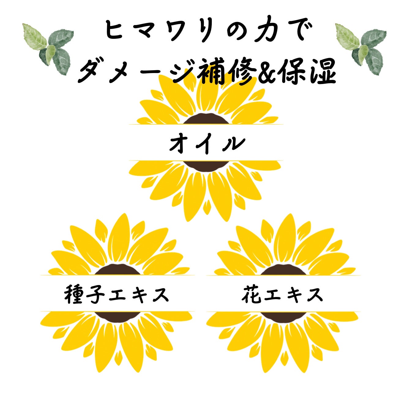 オイルインシャンプー/オイルインコンディショナー (グロス&リペア)/ディアボーテ/市販シャンプーを使ったクチコミ(2枚目)