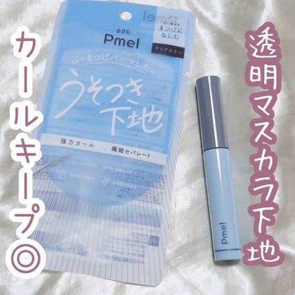 ピメル うそつき下地/pdc/マスカラ下地を使ったクチコミ(1枚目)