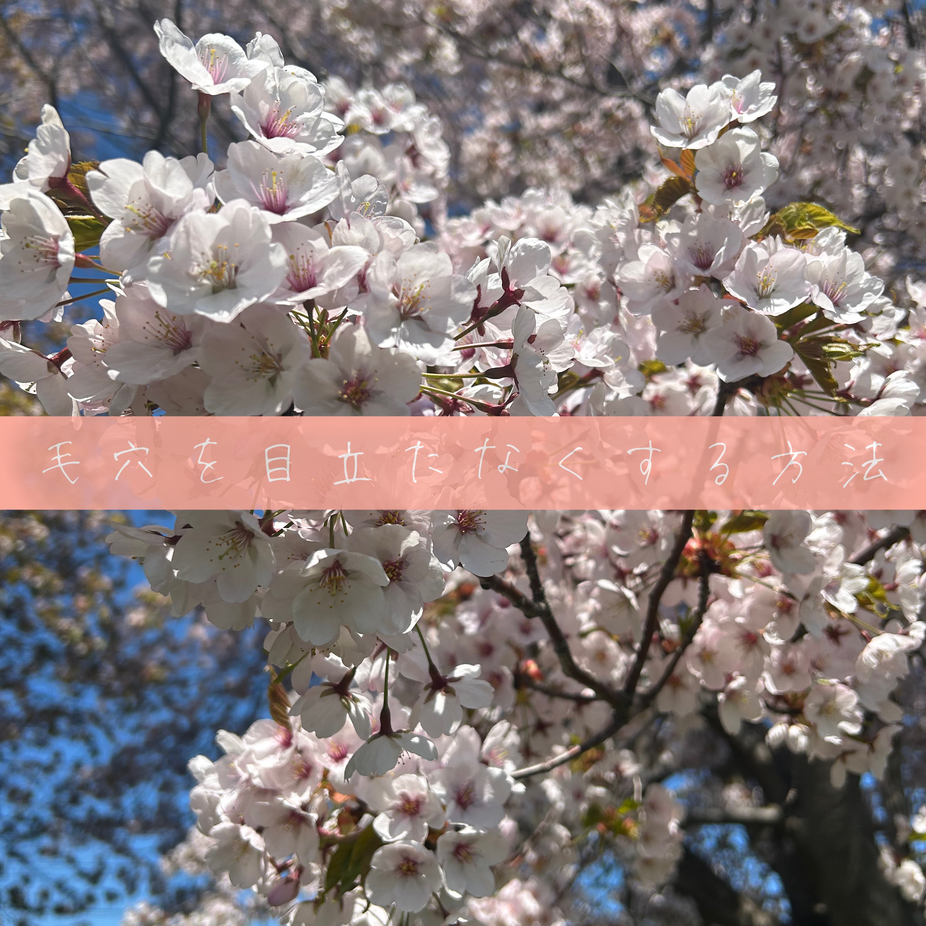 毛穴モップ (3STEP NOSE PACK)/YAMMY’S TOY/洗い流すパック・マスクを使ったクチコミ（1枚目）