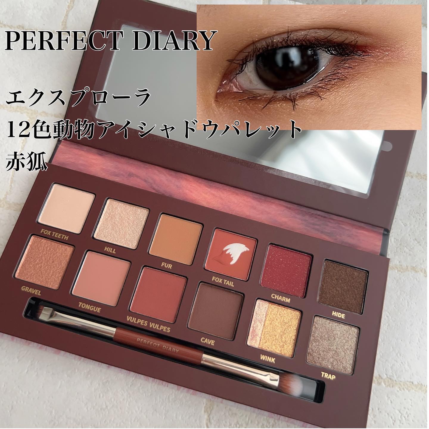 エクスプローラ12色 動物アイシャドウパレット/PERFECT DIARY/アイシャドウパレットを使ったクチコミ（1枚目）