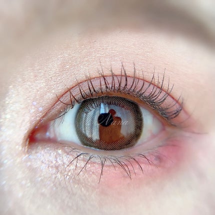 ソフトクレイビームアイシャドウパレット/AMIOK/ジェル・クリームアイシャドウを使ったクチコミ(6枚目)