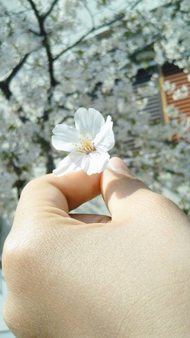 ⚠写真は4月に撮った桜です🌸

もう令和になりましたねぇ…あまり実感が湧きませんが、世間では大盛り上がりでしたよね笑
このまま、平成生まれは古いと言われる年にどんどん近づいているということに気が付き、全