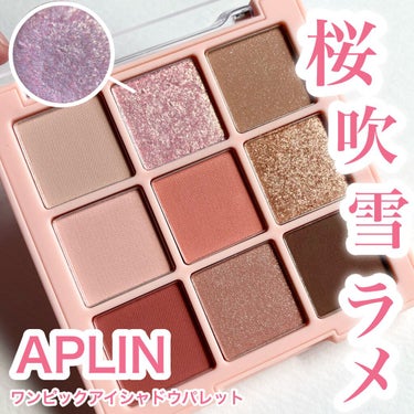 ワンピックアイシャドウパレット/APLIN/アイシャドウパレットを使ったクチコミ（1枚目）