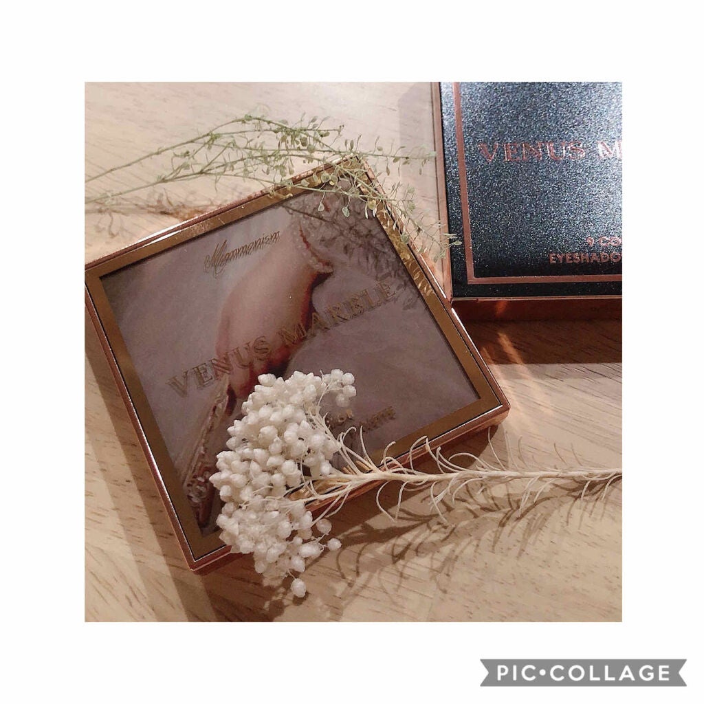 VenusMarble 9色アイシャドウパレット/Venus Marble/アイシャドウパレットを使ったクチコミ(2枚目)