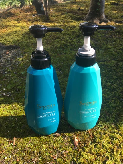 シャンプー/コンディショナー うねる髪もまとまる/セグレタ/市販シャンプーを使ったクチコミ(10枚目)