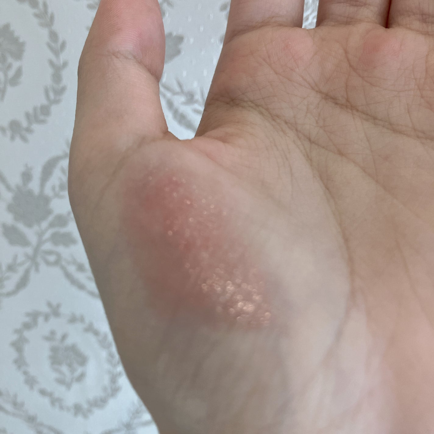 リップモンスター クリアトーン/KATE/口紅を使ったクチコミ(2枚目)