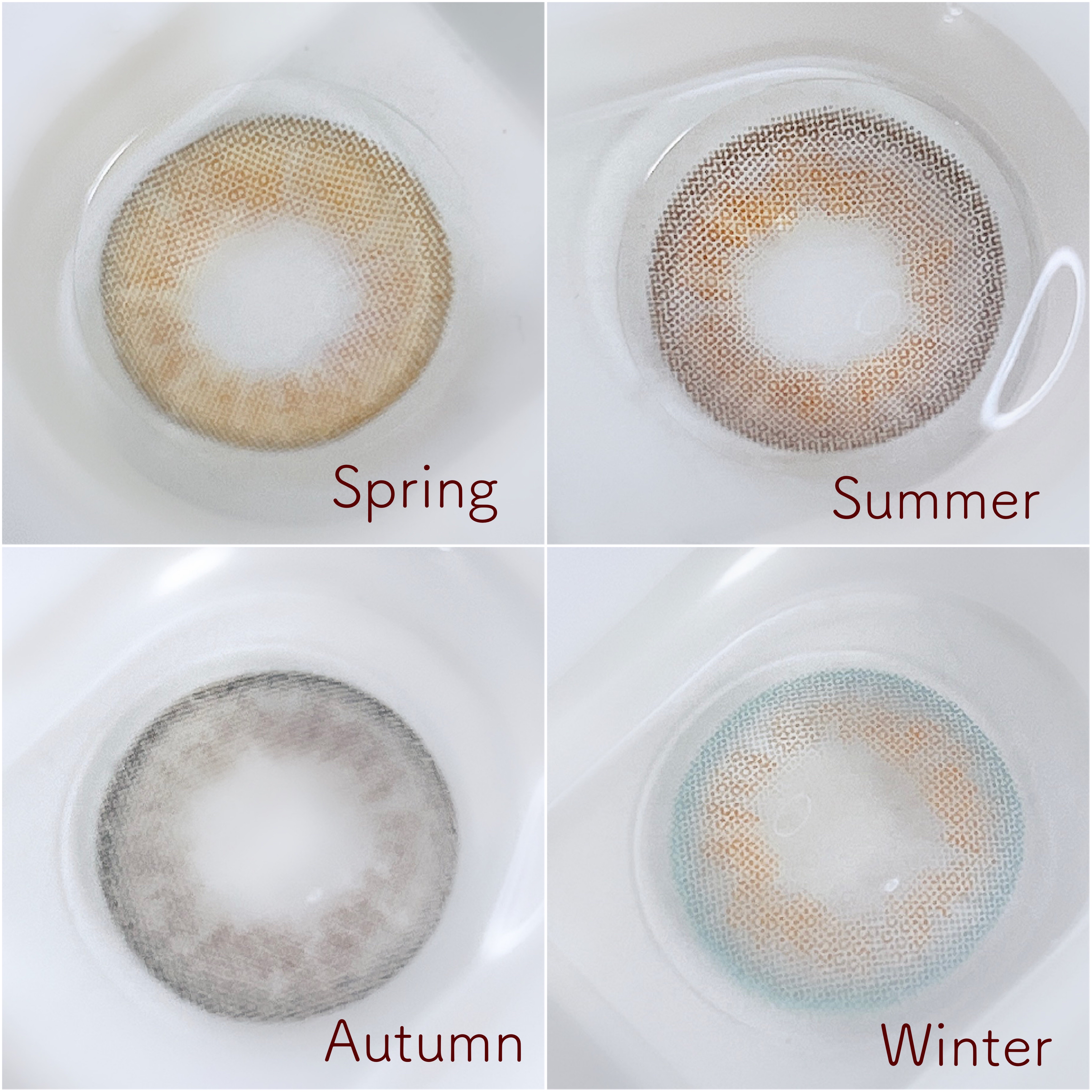 WaWa Series/Sisse Lens/カラーコンタクトレンズを使ったクチコミ（2枚目）