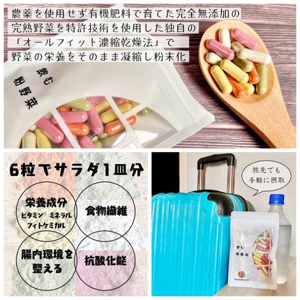 飲む粉野菜/ベジタブルテック/健康サプリメントを使ったクチコミ(4枚目)