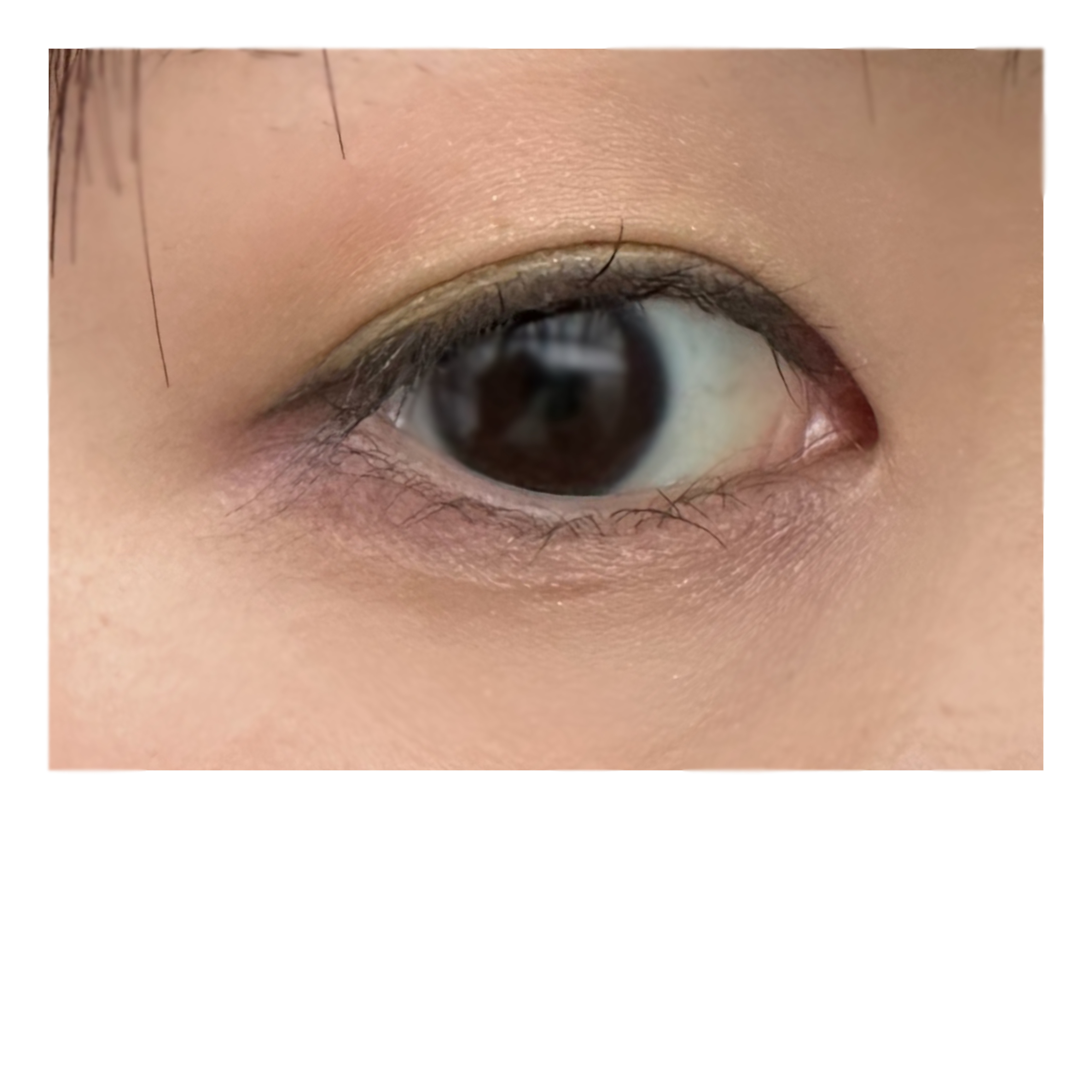 アイカラーレーション EX38 Botanical Meadow（限定発売）/LUNASOL/アイシャドウパレットを使ったクチコミ（3枚目）