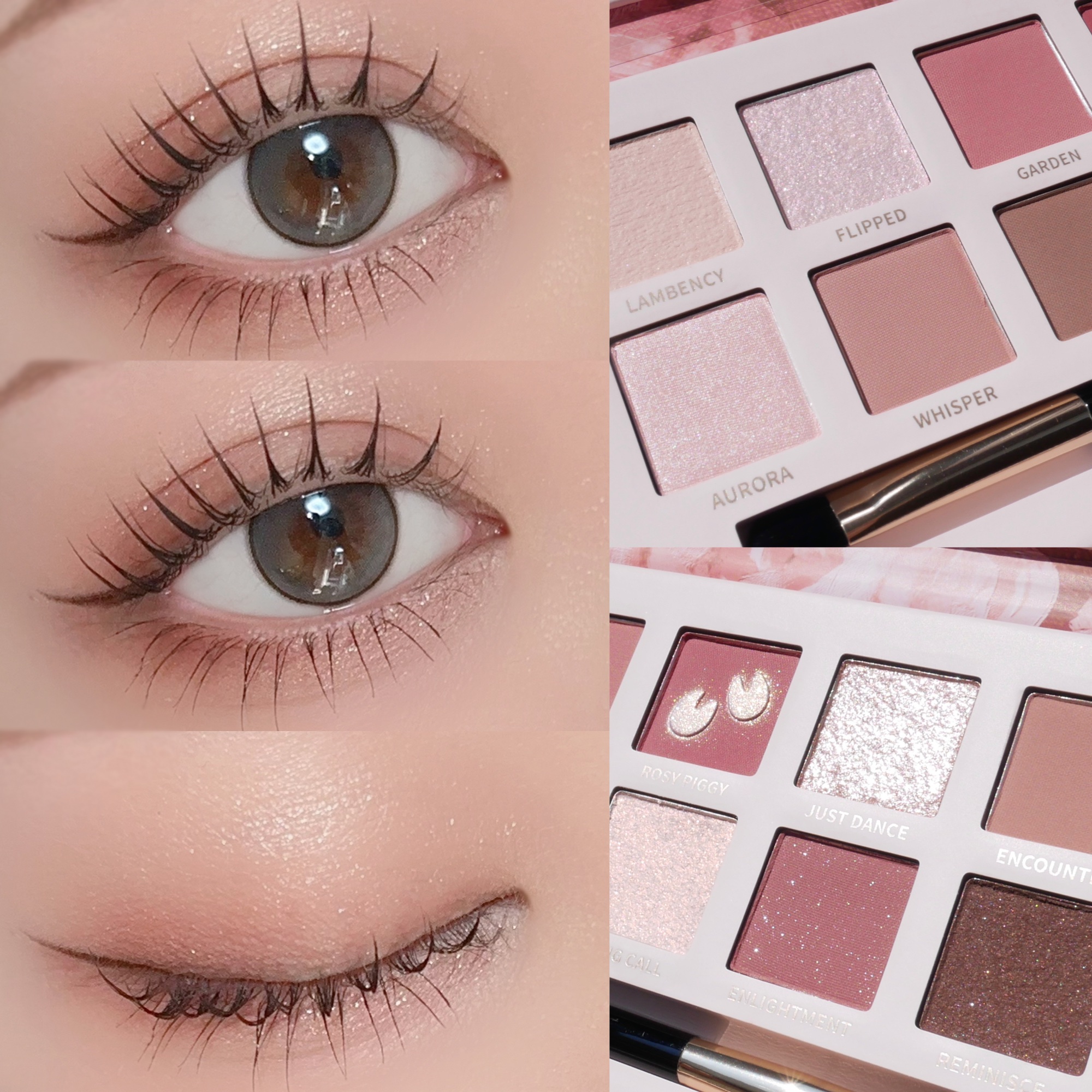 エクスプローラ12色 動物アイシャドウパレット｜PERFECT DIARYの口コミ