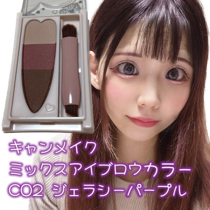 ミックスアイブロウカラー/キャンメイク/パウダーアイブロウを使ったクチコミ(1枚目)