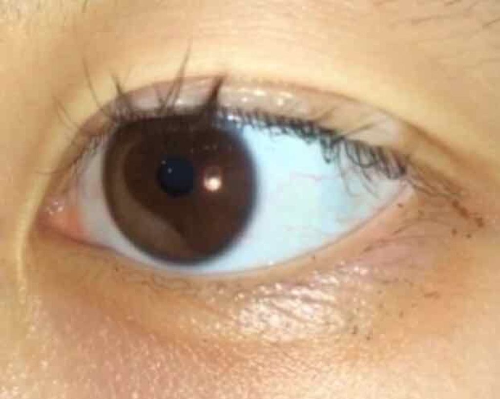 携帯用アイラッシュカーラー/無印良品/ビューラーを使ったクチコミ(3枚目)