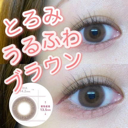 U.P.D. 1day/U.P.D./ワンデー(1DAY)カラコンを使ったクチコミ(1枚目)