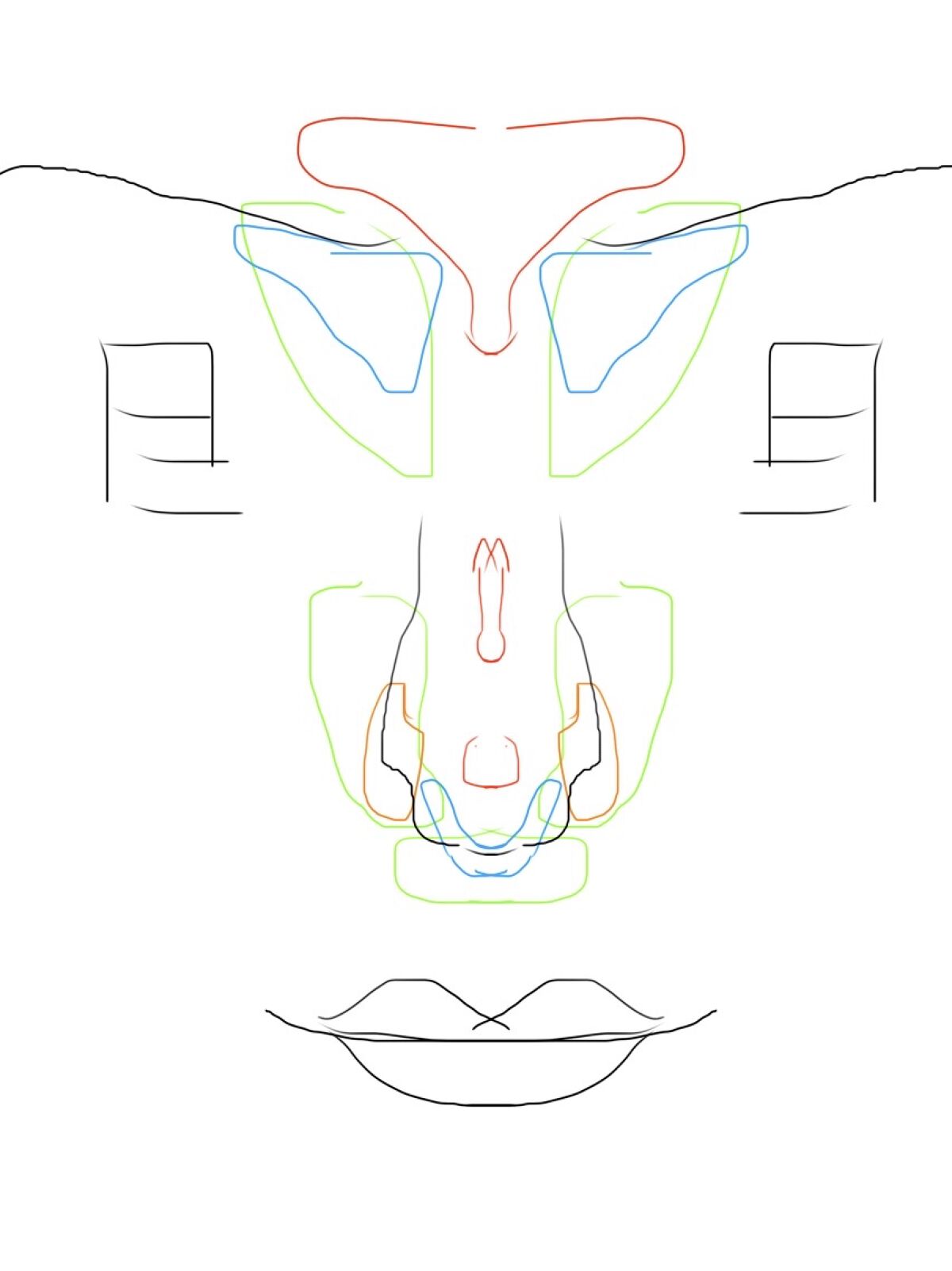 アイシャドウブラシ S 熊野筆/WHOMEE/メイクブラシを使ったクチコミ（2枚目）