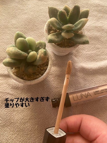 ロングラスティングチップコンシーラー/LUNA/リキッドコンシーラーを使ったクチコミ(2枚目)