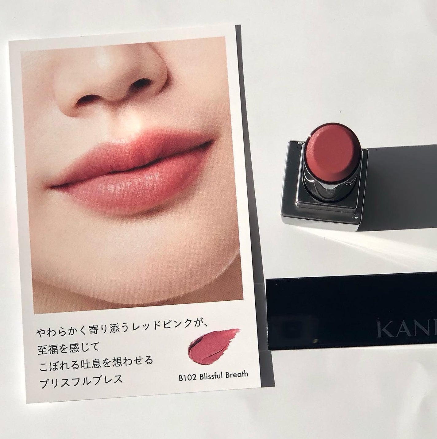 ルージュスターヴァイブラント/KANEBO/口紅を使ったクチコミ(3枚目)