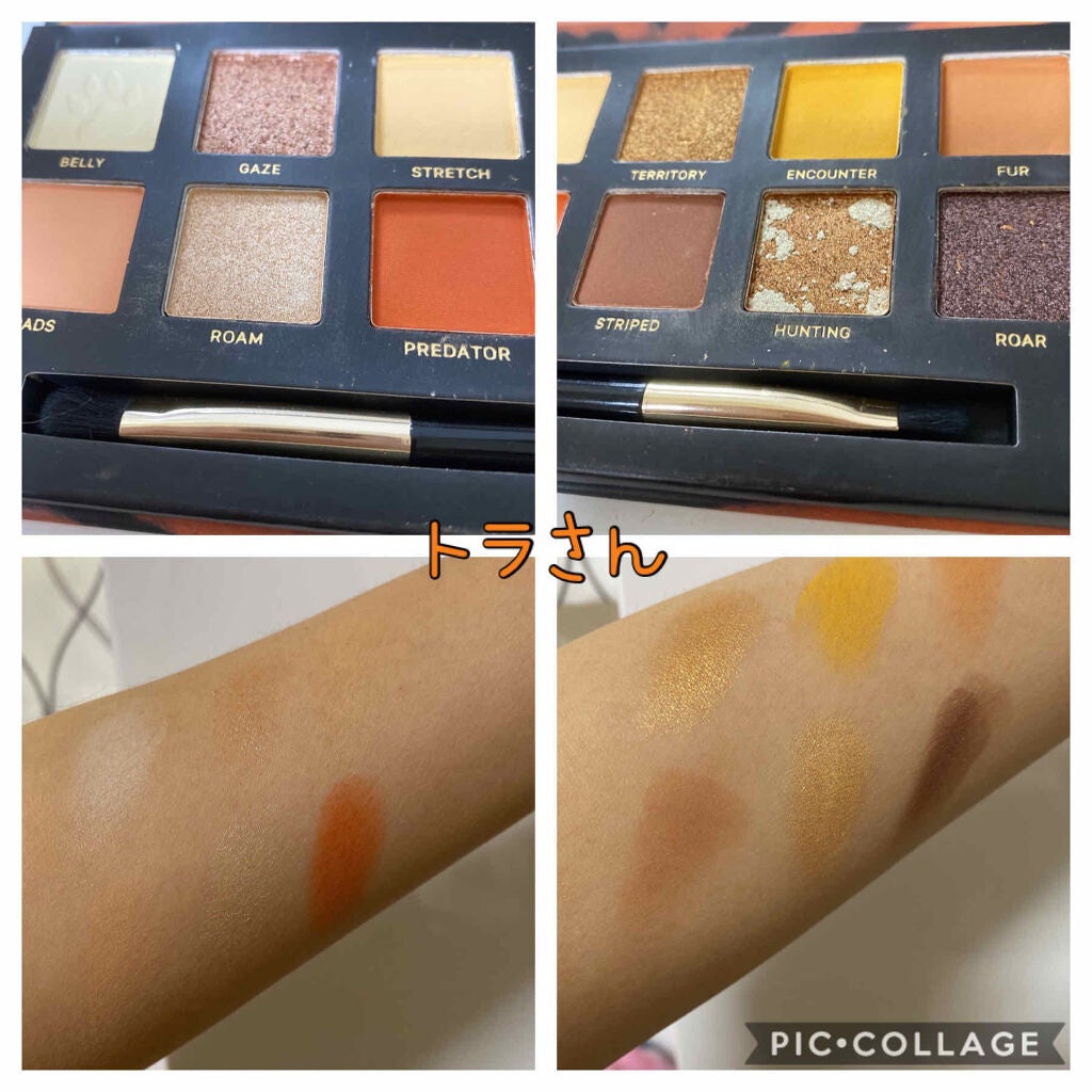 エクスプローラ12色 動物アイシャドウパレット/PERFECT DIARY/アイシャドウパレットを使ったクチコミ(2枚目)