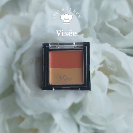 リシェ レッドトリック アイコンシーラー/Visée/パレットコンシーラーを使ったクチコミ(1枚目)