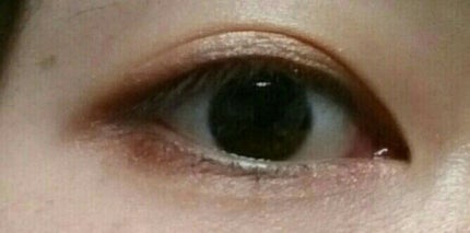 DEMO マルチパレット バーガンディコレクション/IT'S DEMO/マルチパレットを使ったクチコミ(3枚目)