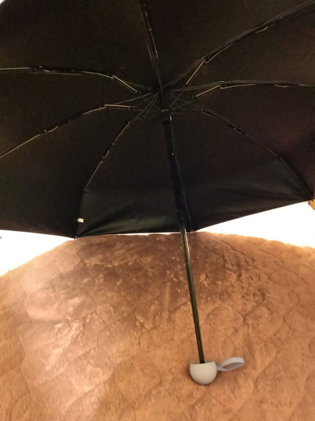 日傘/宮本商事/日傘を使ったクチコミ(2枚目)