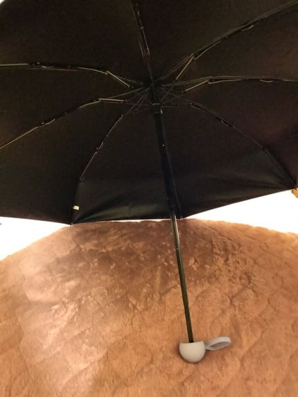日傘/宮本商事/日傘を使ったクチコミ(2枚目)