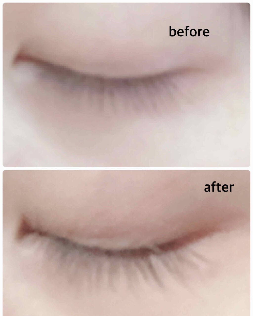 DHCアイラッシュトニック/DHC/まつげ美容液を使ったクチコミ(2枚目)