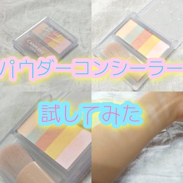 パステルヴェールコンシーラー/キャンメイク/パレットコンシーラーを使ったクチコミ（1枚目）