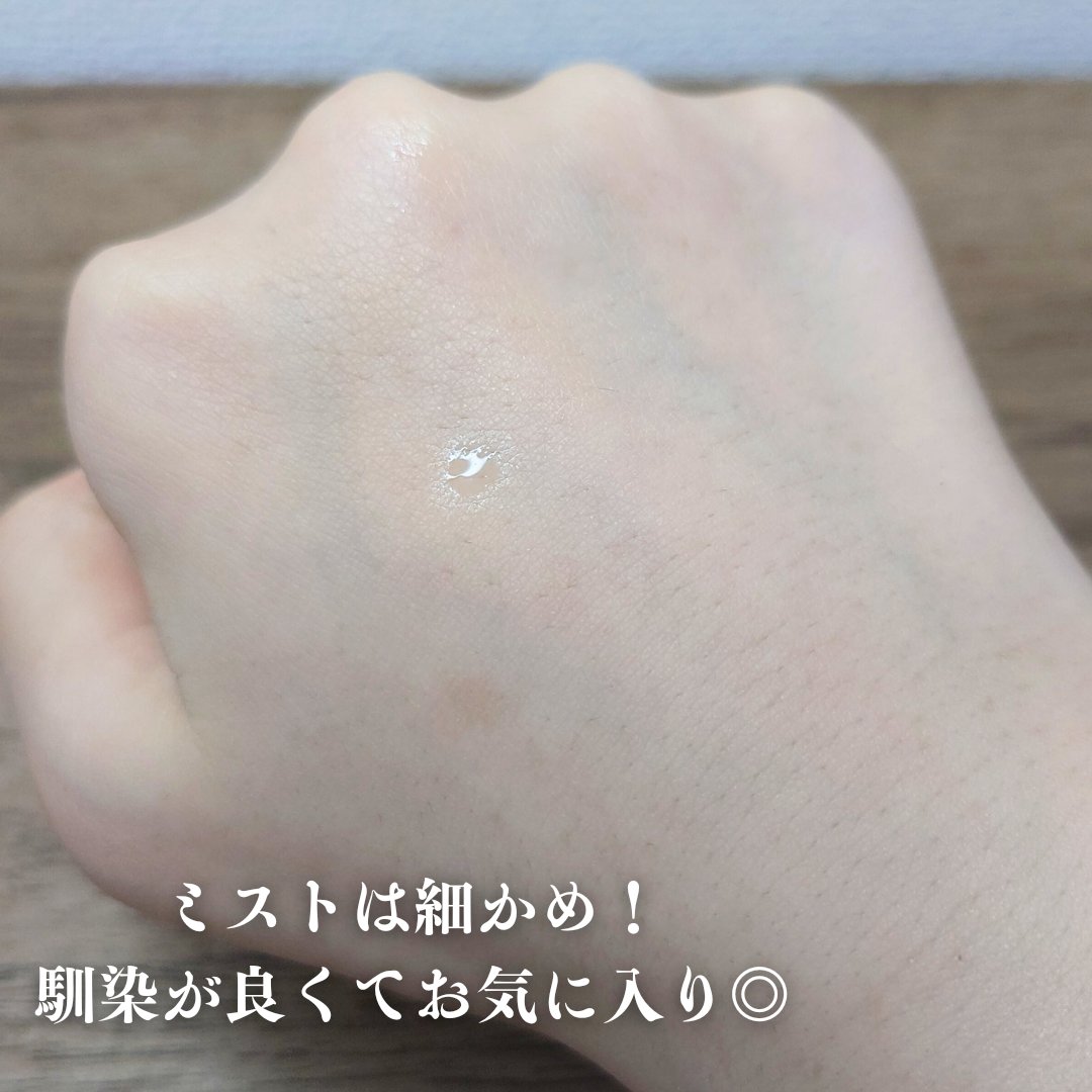 色持ちミスト/ヴィ・ヴィ/その他化粧小物を使ったクチコミ（3枚目）